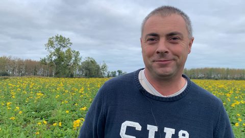La silphie, une fourragère pérenne aux valeurs protéiques alléchantes La silphie, une fourragère pérenne aux valeurs protéiques alléchantes