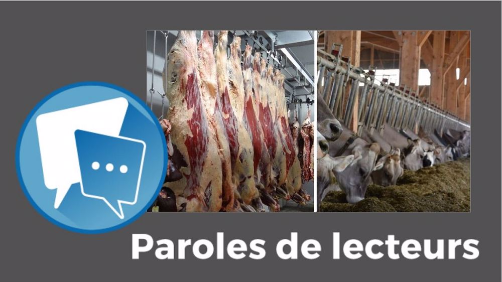 Et vous, qu'en pensez-vous ? N'hésitez pas à commenter cet article. (©Pixabay, Terre-net Média // Création Terre-net Média)