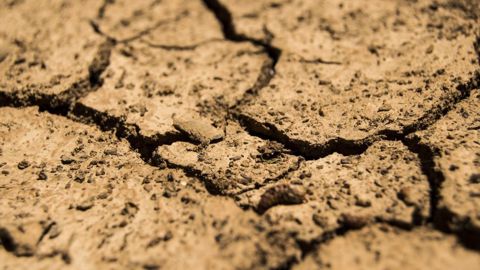Le blé d'hiver US a souffert d'une sécheresse persistante dans la plupart des États producteurs (©Pixabay)
