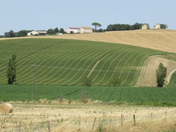 paysage paysage