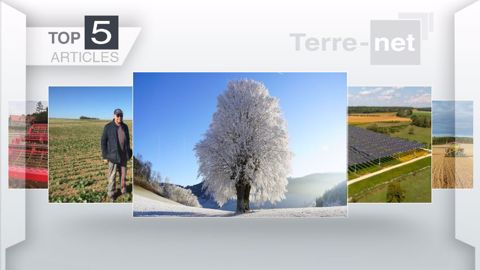 Articles les plus lus sur Terre-net cette semaine. (©Terre-net Média)