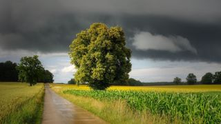 La réforme de l'assurance prévoit un système à trois niveaux : un pour les aléas courants, le deuxième pour les aléas significatifs et le troisième pour les aléas exceptionnels. (©Pixabay) La réforme de l'assurance prévoit un système à trois niveaux : un pour les aléas courants, le deuxième pour les aléas significatifs et le troisième pour les aléas exceptionnels. (©Pixabay)
