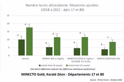 Minecto Gold Karate Zeon 17 80