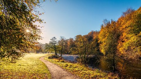 Le mois d'octobre 2022 a été exceptionnellement chaud. (©Pixabay) Le mois d'octobre 2022 a été exceptionnellement chaud. (©Pixabay)