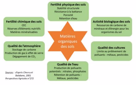 Rôles et actions des matières organiques du sol
