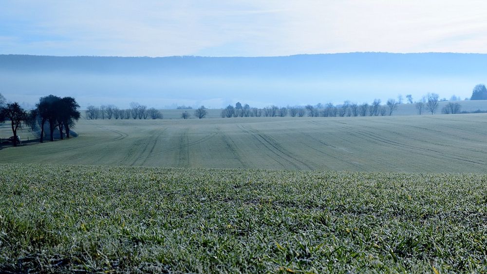 Les gelées pourraient être fréquentes la semaine prochaine, sans être trop fortes. (©Pixabay)