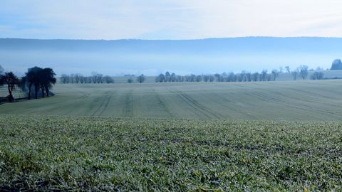 Les gelées pourraient être fréquentes la semaine prochaine, sans être trop fortes. (©Pixabay)