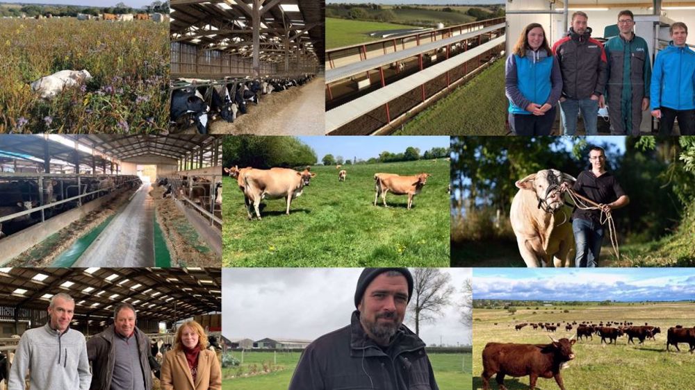 Et pour 2023, quels sont les sujets que vous aimeriez voir abordés ? N'hésitez pas à nous proposer des idées de reportages en commentaires ! (©Terre-net Média)