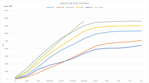 Les exportations brésiliennes de maïs atteignent de nouveaux records.
