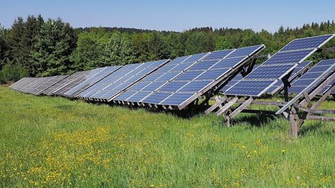 Pour être considéré comme agrivoltaïque, un projet photovoltaïque devra nécessairement apporter un service direct à l'agriculture : protection contre les aléas climatiques, bien-être animal, etc. (©Pixabay) Pour être considéré comme agrivoltaïque, un projet photovoltaïque devra nécessairement apporter un service direct à l'agriculture : protection contre les aléas climatiques, bien-être animal, etc. (©Pixabay)