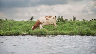 Les cours d'eau, mares et étangs doivent être aménagés pour que les animaux s'y abreuvent. Contactez la police de l'eau de votre secteur pour tout savoir sur la réglementation en vigueur. (©Pixabay) Les cours d'eau, mares et étangs doivent être aménagés pour que les animaux s'y abreuvent. Contactez la police de l'eau de votre secteur pour tout savoir sur la réglementation en vigueur. (©Pixabay)
