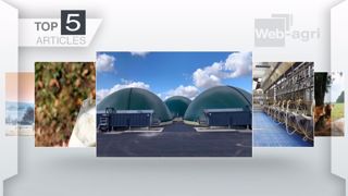 Articles les plus lus sur Web-agri cette semaine. (©Terre-net Média)
