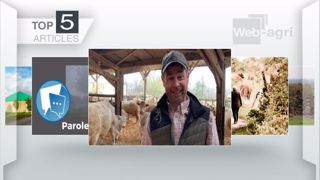 Articles les plus lus sur Web-agri cette semaine. (©Terre-net Média)