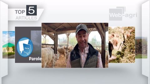 Articles les plus lus sur Web-agri cette semaine. (©Terre-net Média)