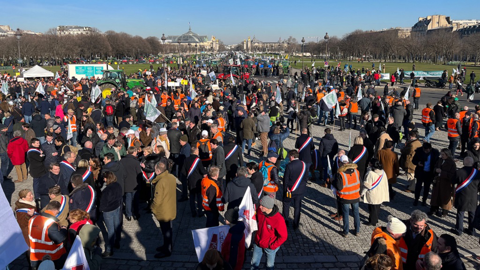 la foule d agriculteurs manifestant contre l interdiction des neonicotinoides