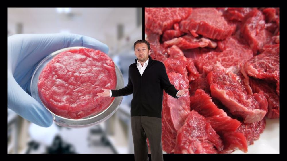 Singapour a autorisé la mise sur le marché de viande de synthèse en 2020. (©Création Terre-net Média/Adobe Stock/Pixabay)