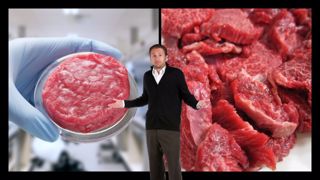 Singapour a autorisé la mise sur le marché de viande de synthèse en 2020. (©Création Terre-net Média/Adobe Stock/Pixabay) Singapour a autorisé la mise sur le marché de viande de synthèse en 2020. (©Création Terre-net Média/Adobe Stock/Pixabay)