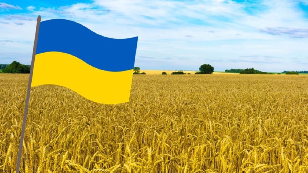 Un an après le début de la guerre en Ukraine, quelle est la situation de l'agriculture française ? (©Terre-net Média/Pixabay)