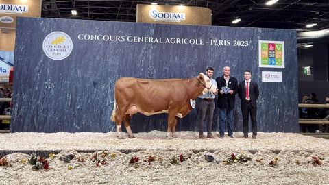 Odysée a raflé les titres de grande championne et meilleure mamelle adulte. (©Page Facebook du <a href="https://www.facebook.com/profile.php?id=100083293985103&__cft__[0]=AZWFn7I2gVEvK0UX8g8oaaI5tikXNkCBkRaYdOWyirp-l-vpJH1cf0hAMkFBX7yN21OaC7jZ_j1YrnEyrP_4jc2iYZT6EjlJHi7Ke6bb1hZUDIvdwsYrsGdRQUjRy9y-jwcUq-9TOq7nMlRkrbBpjXh8xcu_JIH8b0WEj1u82oWfj5_VLhF3BUFZAqmUSnBaQQM&__tn__=-UC%2CP-R" role="link" tabindex="0" title="Page Facebook du syndicat Simmental de Côte-d'Or" 