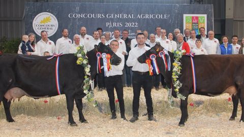 grande championne rouge flamande sia 2023