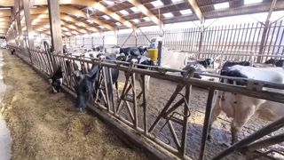 La FNPL alerte sur les dossiers européens en cours La FNPL alerte sur les dossiers européens en cours