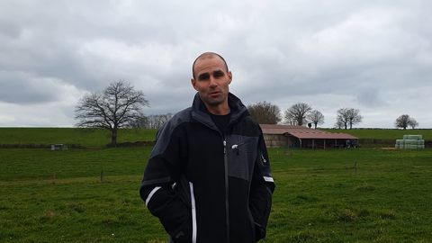 Vaches, génisses, broutards et taurillons engraissés à l'herbe