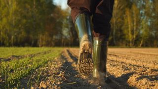 Le port quotidien de bottes peut générer des douleurs aux pieds, mais pas seulement (genoux, hanches, dos...) : pensez à alterner avec d'autres chaussants comme des chaussures de randonnée. (©Adobe Stock/Valua Vitaly) Le port quotidien de bottes peut générer des douleurs aux pieds, mais pas seulement (genoux, hanches, dos...) : pensez à alterner avec d'autres chaussants comme des chaussures de randonnée. (©Adobe Stock/Valua Vitaly)