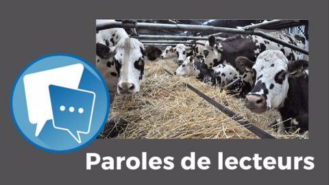 Et vous, quel est votre avis ? Réagissez à cet article. (©Terre-net Média)