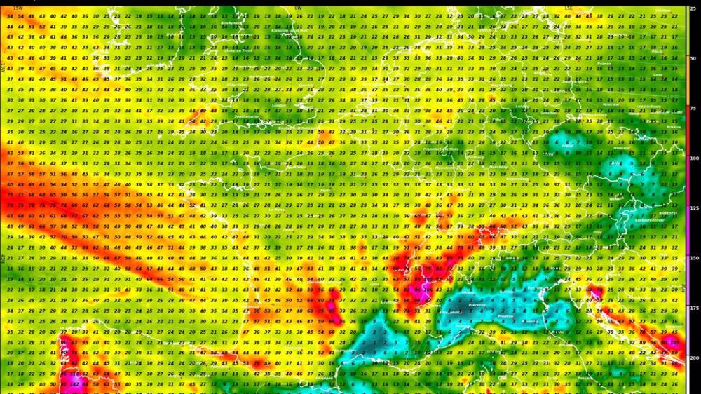 Cumul de pluies estimé d'ici au 12 mars selon MeteoNews. (©MeteoNews)