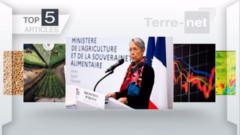 Articles les plus lus sur Terre-net cette semaine. (©Terre-net Média)