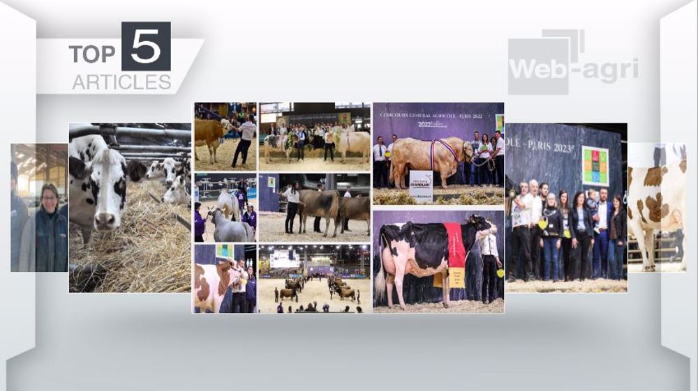 Les cinq articles les plus lus de la semaine sur Web-agri. (©Terre-net Média)