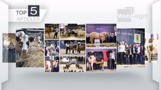 Les cinq articles les plus lus de la semaine sur Web-agri. (©Terre-net Média)