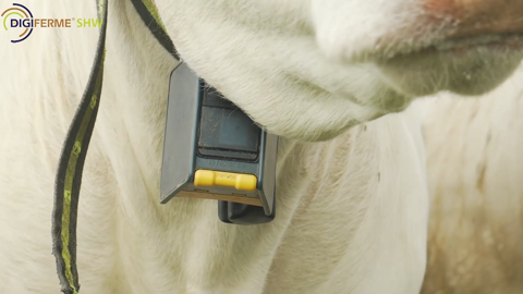 Essais concluants pour les clôtures virtuelles