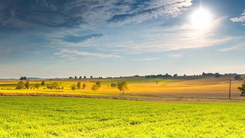 Mieux vaut ne pas perdre de temps pour réaliser le Conseil stratégique phytosanitaire (©Pixabay) Mieux vaut ne pas perdre de temps pour réaliser le Conseil stratégique phytosanitaire (©Pixabay)