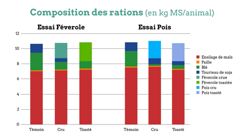 Rations d'engraissement des JB