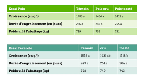 Performances de croissance