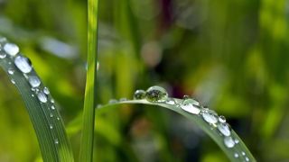 La pluie fait son grand retour, et ravit les éleveurs ! La pluie fait son grand retour, et ravit les éleveurs !