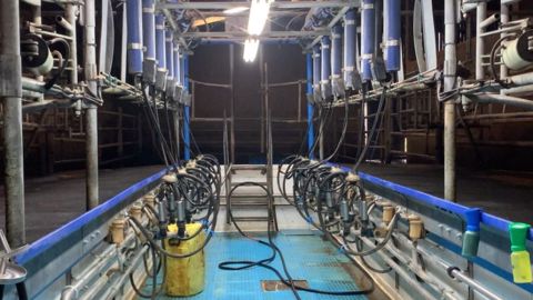 En achetant une salle de traite d'occasion, il faut être vigilant sur la disponibilité des pièces détachées, notamment savoir si le concessionnaire peut les fournir. (©Terre-net Média)