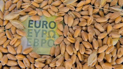 Bruxelles propose d'allouer 29,5 millions d'euros à la Pologne, 16,75 millions à la Bulgarie et 10,05 millions à la Roumanie. (<a href="https://stock.adobe.com/fr/contributor/210186467/mariyka-lnt?load_type=author&prev_url=detail" target="_blank">©Mariyka LnT</a>, AdobeStock) Bruxelles propose d'allouer 29,5 millions d'euros à la Pologne, 16,75 millions à la Bulgarie et 10,05 millions à la Roumanie. (<a href="https://stock.adobe.com/fr/contributor/210186467/mariyka-lnt?load_type=author&prev_url=detail" target="_blank">©Mariyka LnT</a>, AdobeStock)