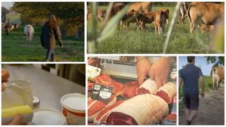 La « dynamique agricole » : herbe, autonomie, transformation/vente directe La « dynamique agricole » : herbe, autonomie, transformation/vente directe