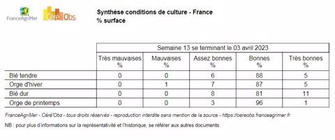 Synthèse des conditions de culture des céréales à paille 