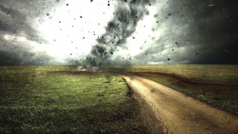 Le réchauffement climatique va exposer l'agriculture européenne à davantage de phénomènes extrêmes. (©Pixabay) Le réchauffement climatique va exposer l'agriculture européenne à davantage de phénomènes extrêmes. (©Pixabay)