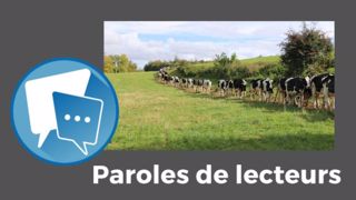 Une astuce pour que les génisses restent dans le rang ? Donnez-la-nous en commentaires sous l'article.<br />(©Terre-net Média)