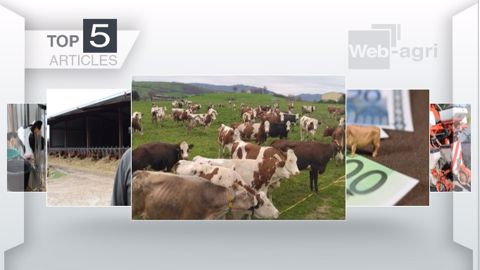 Articles les plus lus sur Web-agri cette semaine. (©Terre-net Média) Articles les plus lus sur Web-agri cette semaine. (©Terre-net Média)