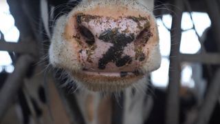 Quelle ration pour réduire les émissions de méthane du troupeau laitier ? Quelle ration pour réduire les émissions de méthane du troupeau laitier ?