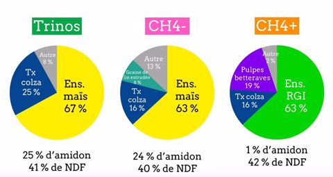 Rations vaches laitières pour réduire les émissions de méthane