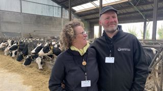 Un élevage laitier simple dans un système intensif