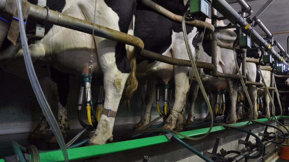 Après une progression en 2022, moindre par rapport aux pays d'Europe du nord, le prix du lait en France reflue depuis mars (©Terre-net Média)