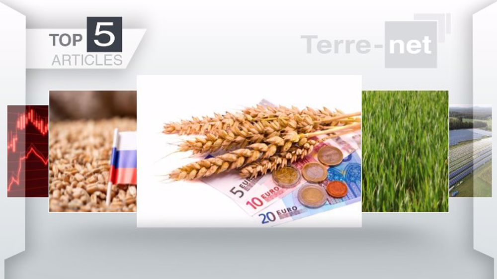 Articles les plus lus sur Terre-net cette semaine (©Terre-net Média)