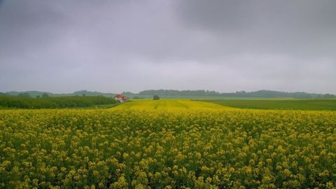 Sur la moitié nord, fraîcheur et humidité étaient au programme de ce mois d'avril 2023. ©<a href="https://pixabay.com/fr/users/formykerttu-2595329/?utm_source=link-attribution&utm_medium=referral&utm_campaign=image&utm_content=2719313">Kerttu Northman</a> de <a href="https://pixabay.com/fr//?utm_source=link-attribution&utm_medium=referral&utm_campaign=image&utm_content=2719313">Pixabay</a>) Sur la moitié nord, fraîcheur et humidité étaient au programme de ce mois d'avril 2023. ©<a href="https://pixabay.com/fr/users/formykerttu-2595329/?utm_source=link-attribution&utm_medium=referral&utm_campaign=image&utm_content=2719313">Kerttu Northman</a> de <a href="https://pixabay.com/fr//?utm_source=link-attribution&utm_medium=referral&utm_campaign=image&utm_content=2719313">Pixabay</a>)